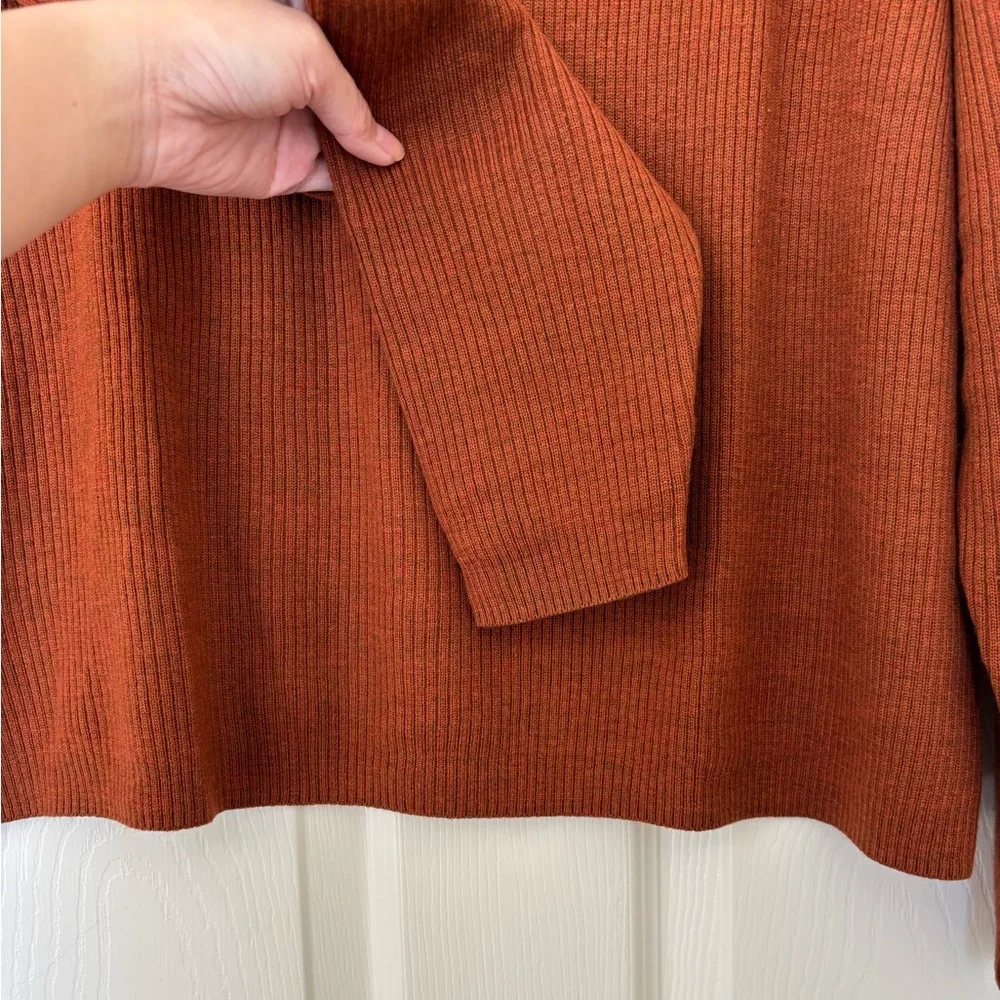 Brooks Brothers 100% Extra Fine Merino Wool Turtle Neck Long Sleeve Shirt
